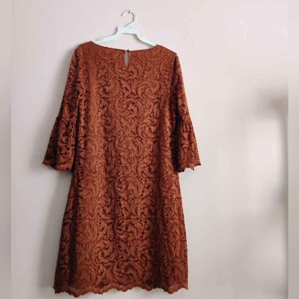 Garnet Hill Lace Dress Size 6 Rust Brown Excellent - Picture 7 of 9